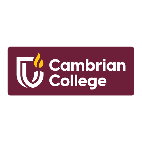 About-Section7-Cambrian